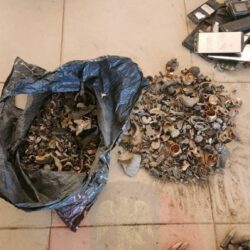 669943649 1275912284663478 7742354981496402228 N