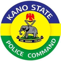 Kano Police Bust Major Arms-Dealers, Seize Ak-47S 8 695764920 26158657440476331 5653571863155199917 N
