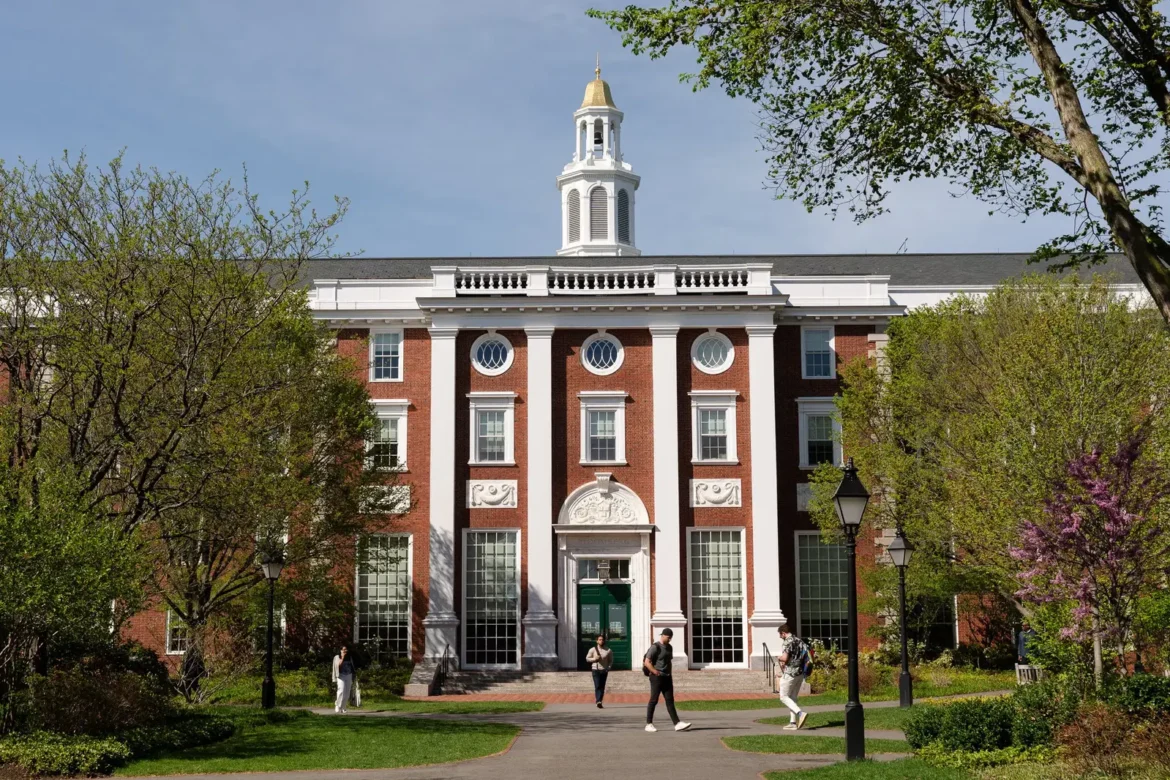Harvard 1