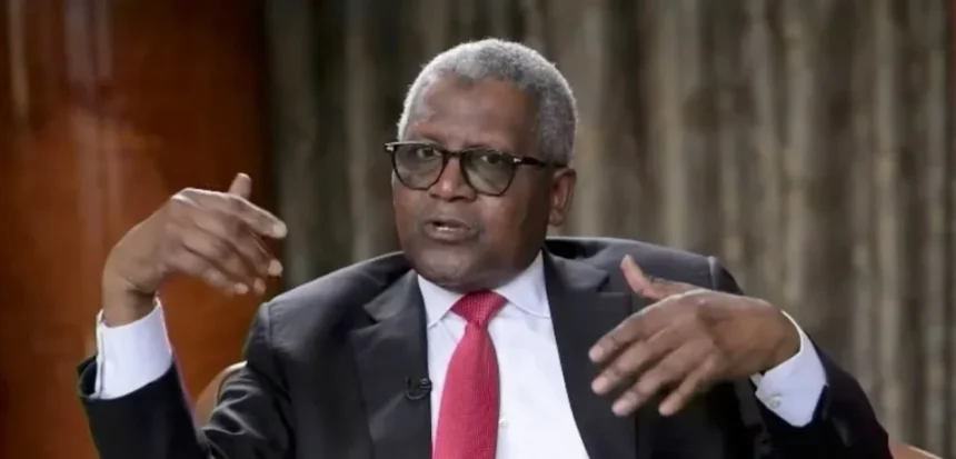 Dangote Jokes Over Shareholder Memes Announces 2028 Fertiliser Ipo