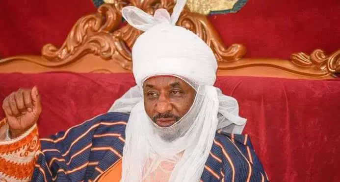 Dont Sell Homes Or Spend School Fees On Dangote Shares Emir Sanusi Tells Investors